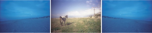 caballourbano    